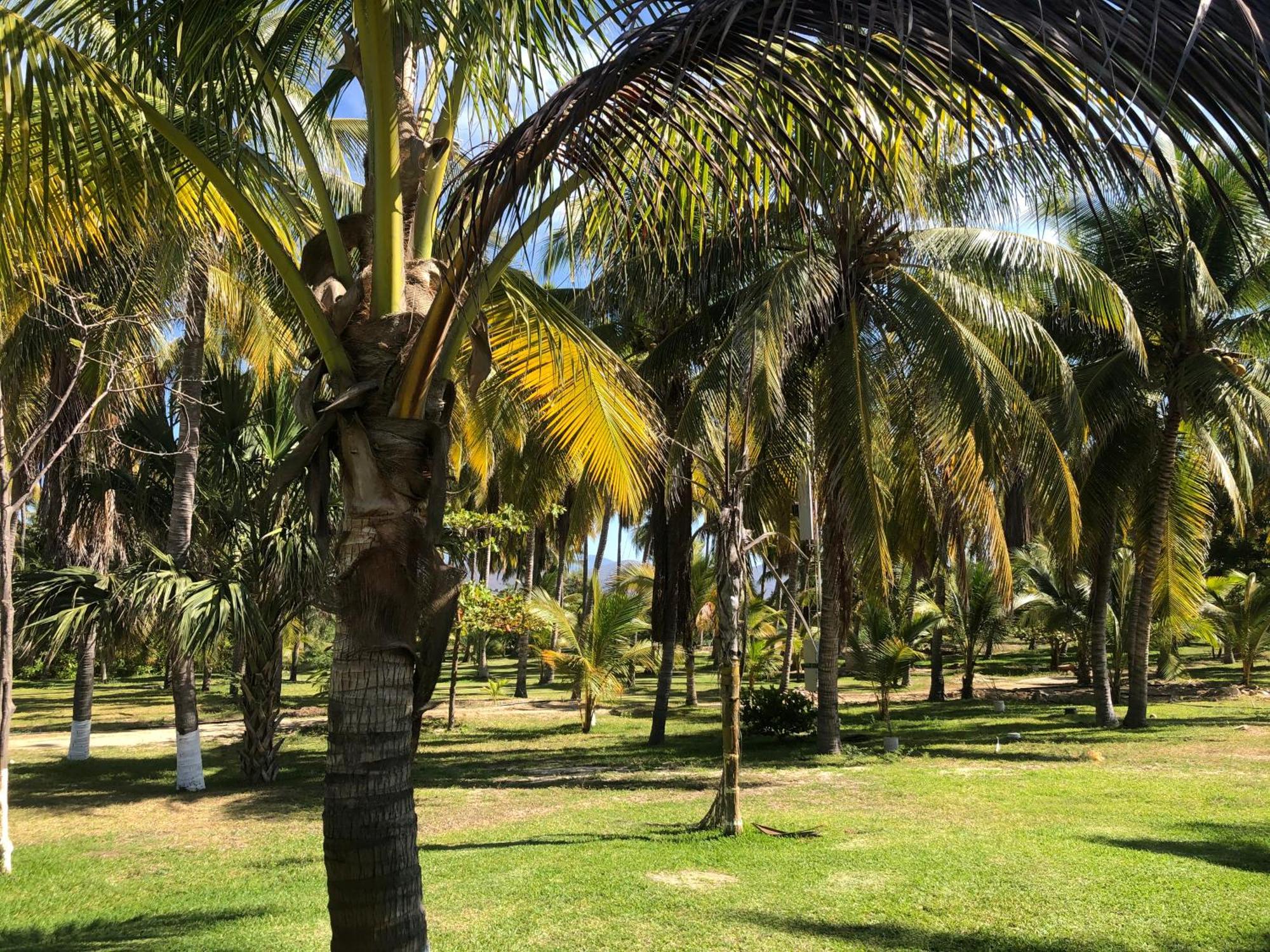 Casa Kundavi Beach Front Paradise Recado Экстерьер фото
